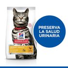 Hill's Urinary Pollo pienso para gatos, , large image number null